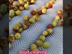 Custom Nylon Roller Brush met/zonder as voor aardappel schillen industriële machine